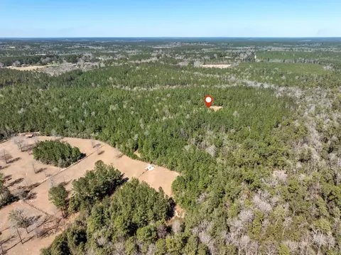0 Matthew Johnson Rd, Wiggins, MS 39577 photo 14