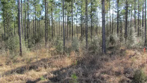 0 Epley Rd # D, Sumrall, MS 39482 photo 3