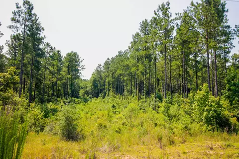 0 Epley Rd # D, Sumrall, MS 39482