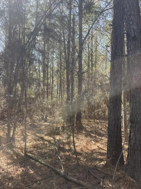 175 Hammond, Oak Vale, MS 39656 photo 2