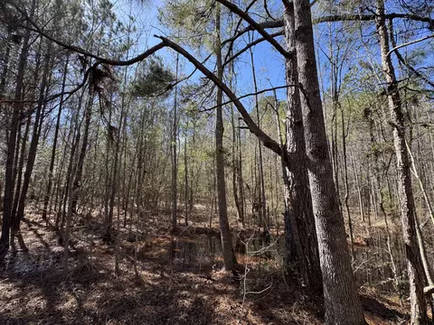 175 Hammond, Oak Vale, MS 39656 photo 8