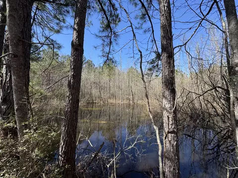 175 Hammond, Oak Vale, MS 39656 photo 6