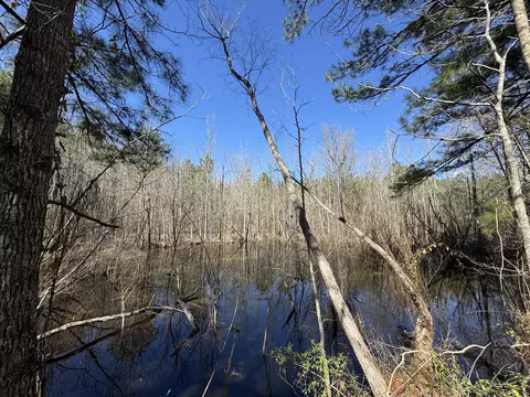 175 Hammond, Oak Vale, MS 39656 photo 7