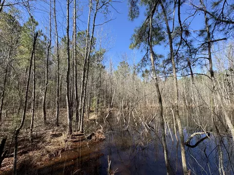 175 Hammond, Oak Vale, MS 39656 photo 9