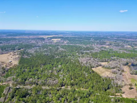 Tract 1 Cowart Holiday, Poplarville, MS 39470
