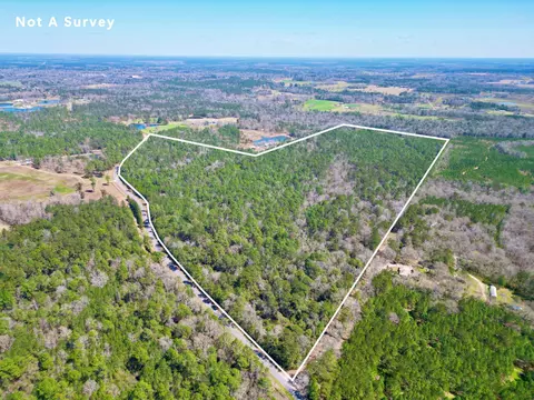 2 Cowart Holiday Road, Poplarville, MS 39470