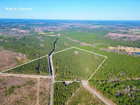 Nhn Gobbler Head, Hattiesburg, MS 39470
