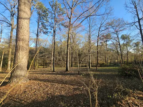 609 Knight Rd, Sumrall, MS 39482 photo 5