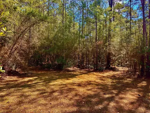 42 D V Cooper Rd, Purvis, MS 39475 photo 29