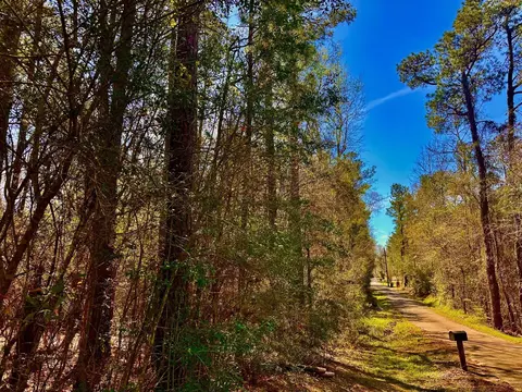42 D V Cooper Rd, Purvis, MS 39475 photo 31