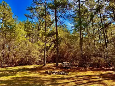 42 D V Cooper Rd, Purvis, MS 39475 photo 27