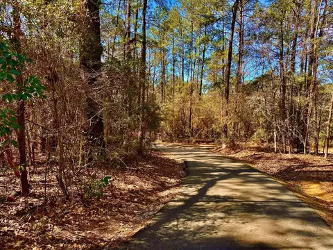 42 D V Cooper Rd, Purvis, MS 39475 photo 3