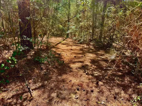 42 D V Cooper Rd, Purvis, MS 39475 photo 32