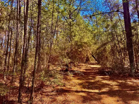 42 D V Cooper Rd, Purvis, MS 39475 photo 33