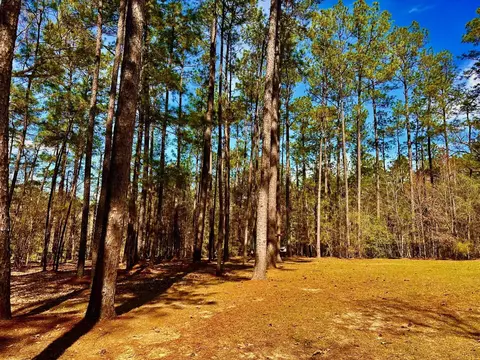 42 D V Cooper Rd, Purvis, MS 39475 photo 28
