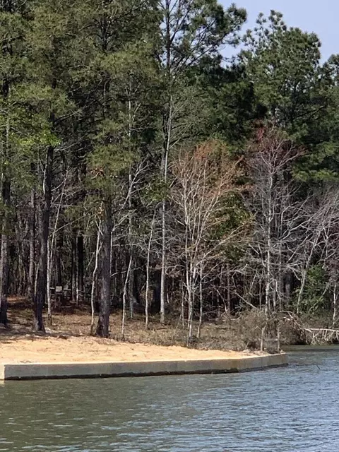 197 Ella Pt, Lumberton, MS 39455