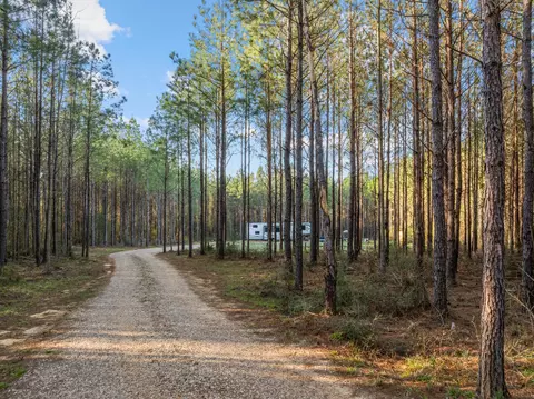 111 Progress Trl, Sumrall, MS 39482 photo 7