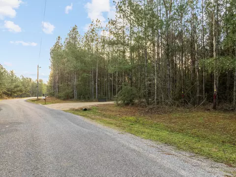 111 Progress Trl, Sumrall, MS 39482 photo 4
