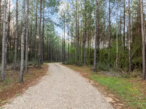111 Progress Trl, Sumrall, MS 39482 photo 6