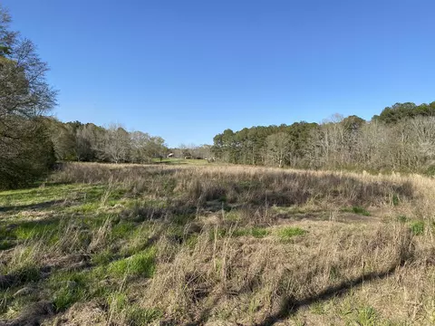 13 Acres Dick Sumrall Rd, Laurel, MS 39443 photo 6