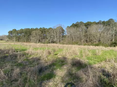 13 Acres Dick Sumrall Rd, Laurel, MS 39443 photo 3