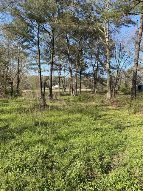 13 Acres Dick Sumrall Rd, Laurel, MS 39443 photo 10