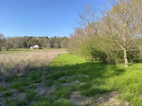 13 Acres Dick Sumrall Rd, Laurel, MS 39443 photo 7