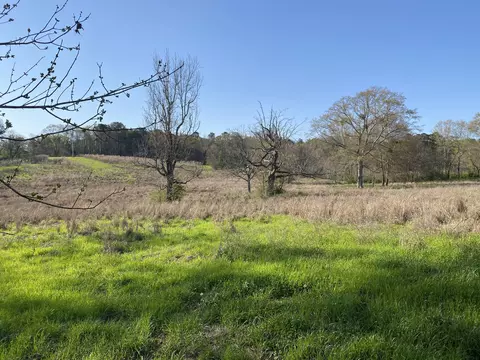 13 Acres Dick Sumrall Rd, Laurel, MS 39443 photo 8