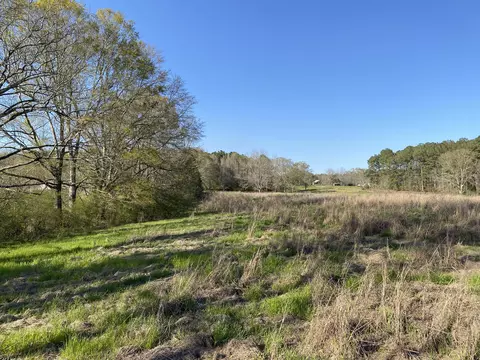 13 Acres Dick Sumrall Rd, Laurel, MS 39443 photo 5