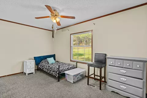 381 Batson Rd, Petal, MS 39465 photo 22