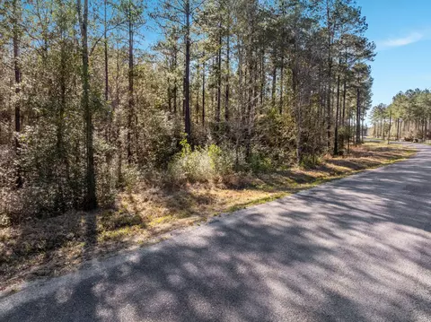 5 Acres Progress Trl, Sumrall, MS 39482 photo 4