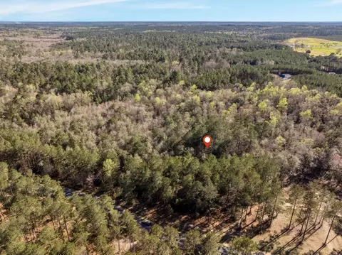 5 Acres Progress Trl, Sumrall, MS 39482 photo 12