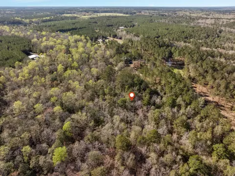 5 Acres Progress Trl, Sumrall, MS 39482 photo 9