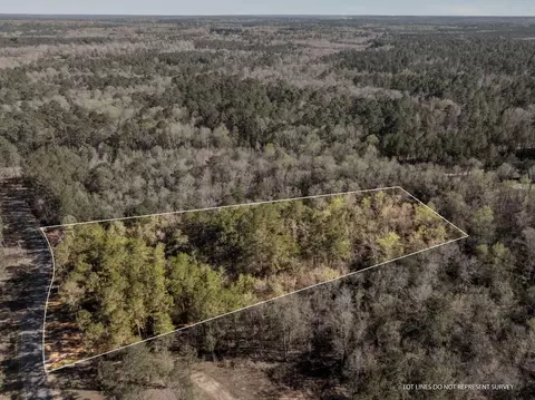 5 Acres Progress Trl, Sumrall, MS 39482 photo 2