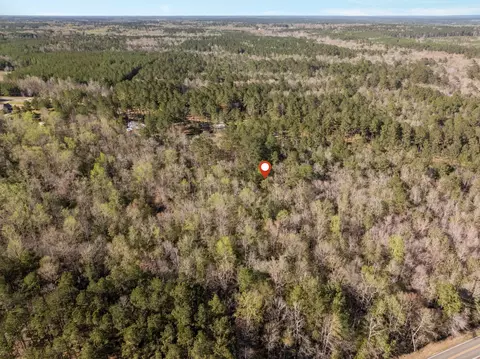 5 Acres Progress Trl, Sumrall, MS 39482 photo 10