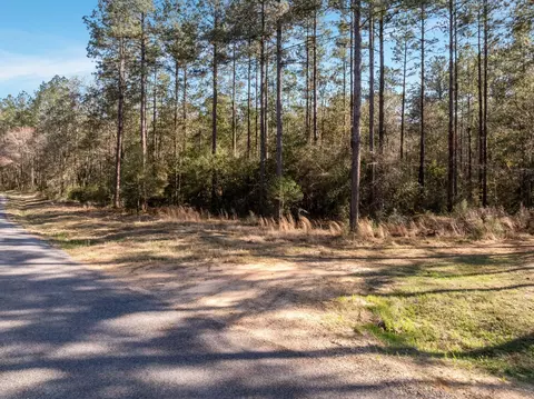 5 Acres Progress Trl, Sumrall, MS 39482 photo 3