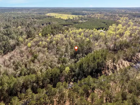 5 Acres Progress Trl, Sumrall, MS 39482 photo 11