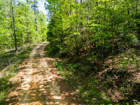 20 98 Acre Rockhill Rd, Purvis, MS 39475
