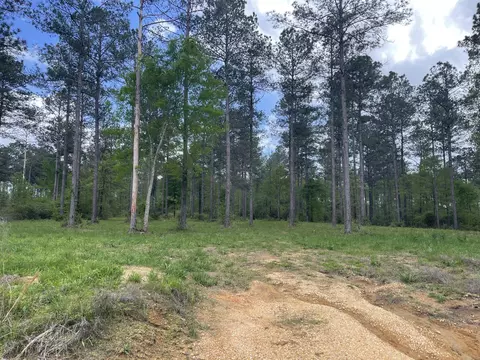 177 Jo Ann Dr, Sumrall, MS 39482