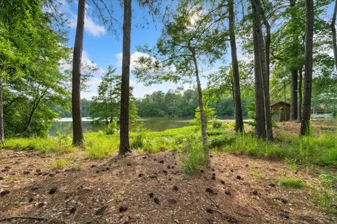 View/Area - 112 Hickory Hills Loop, Purvis, MS 39475 photo 2 of 3