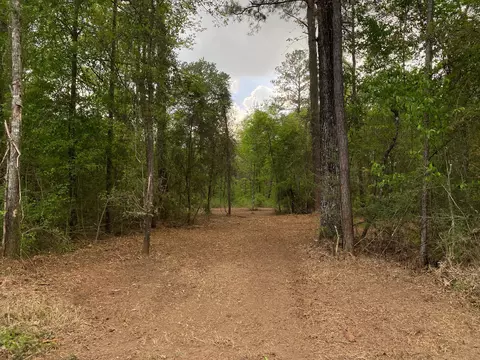 1 29 Acres Beaver Damn Rd, Lucedale, MS 39452