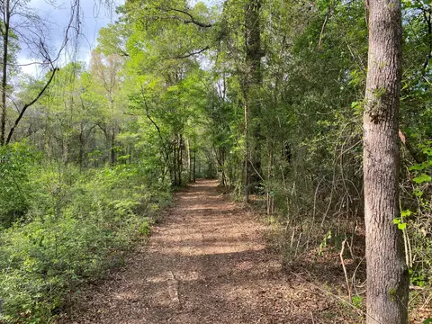 2 14 Acres Beaver Damn Rd, Lucedale, MS 39452