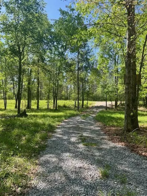 00 Ovett Moselle Rd, Ellisville, MS 39437