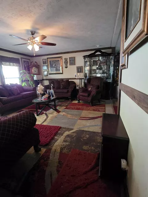 2 Mike Wade Loop, Petal, MS 39465 photo 4