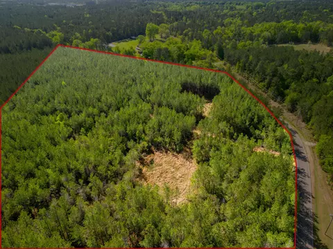 93 Acres Lott Town Rd, Hattiesburg, MS 39402