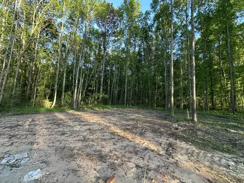 39 Will Brown, Sumrall, MS 39482 photo 17