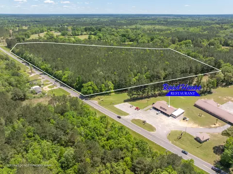 Parcel A Ms-42, Petal, MS 39564 photo 13