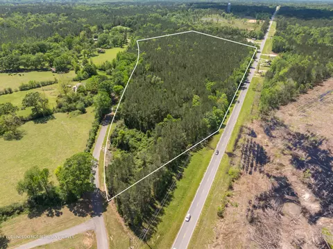 Parcel A Ms-42, Petal, MS 39564 photo 11
