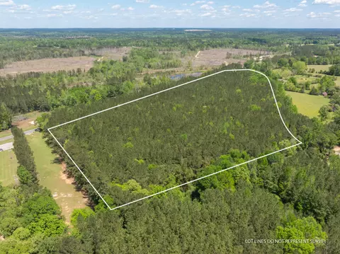 Parcel A Ms-42, Petal, MS 39564 photo 14