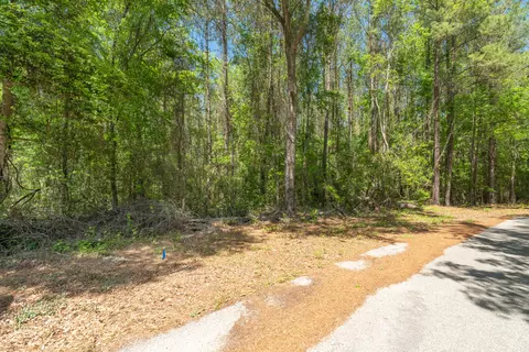 Parcel A Ms-42, Petal, MS 39564 photo 3